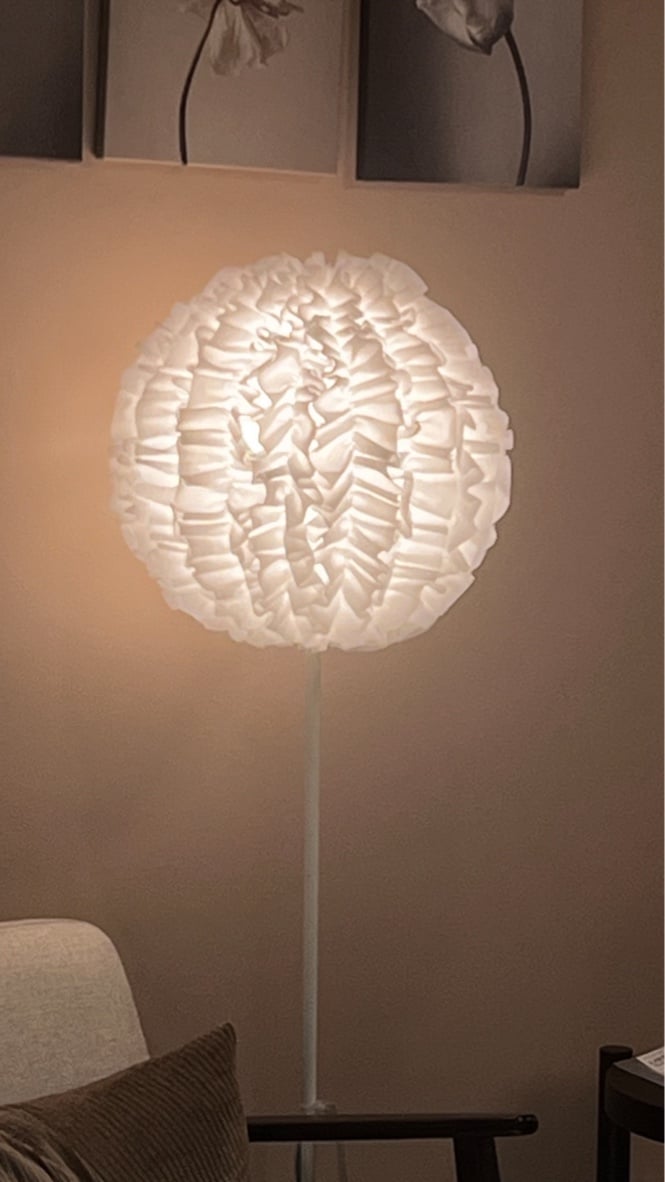 28757_1.jpg
