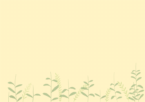 33594_1.jpg