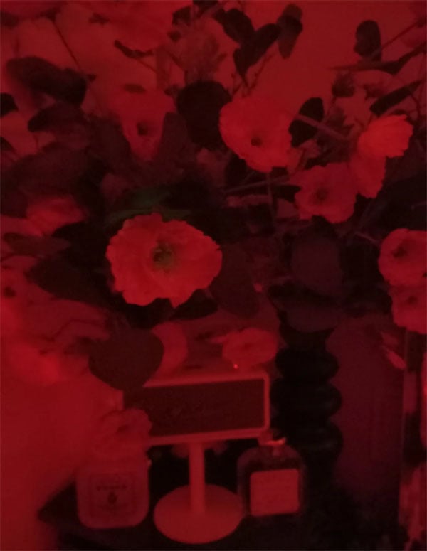 37248_2.jpg