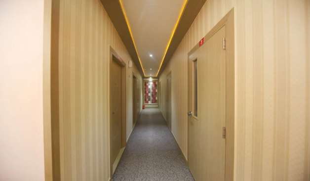 49553_3.jpg